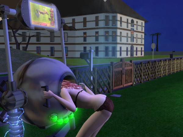 Sims