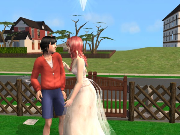Sims