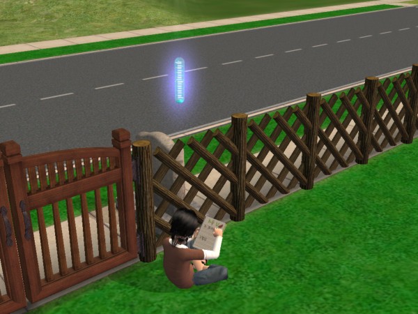 sims