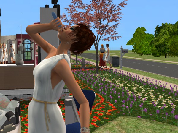 Sims