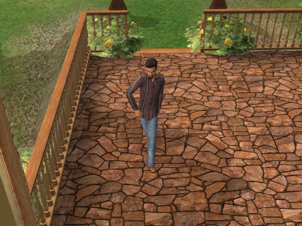 Sims
