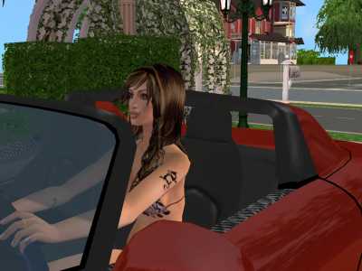 Sims