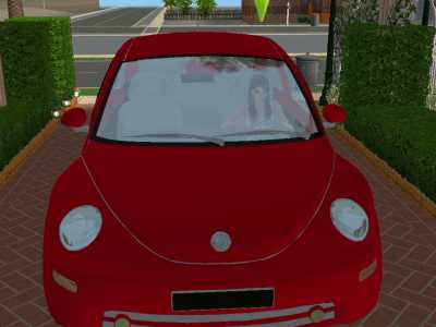 Sims