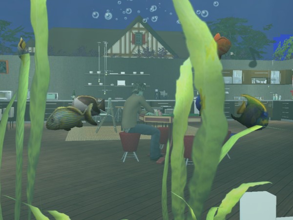 Sims
