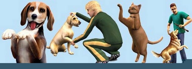 Sæt Pets mynd;)