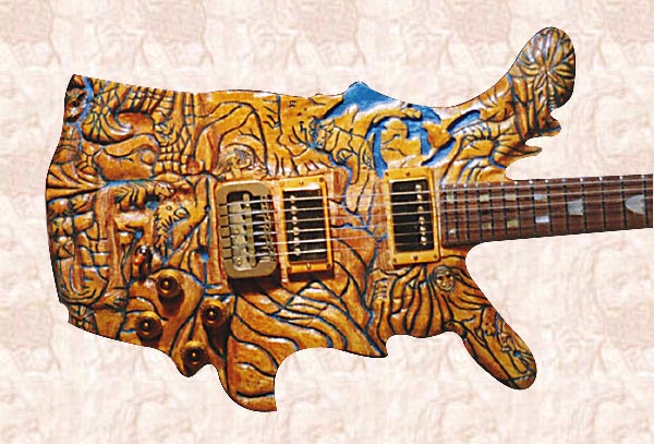 AMERICAN ECOLUTION GUITAR
