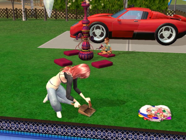Sims