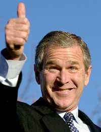 Bush