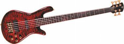 SPECTOR LEGEND 5 STRING BASS