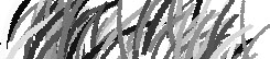 egó banner
