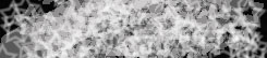 ego/banner