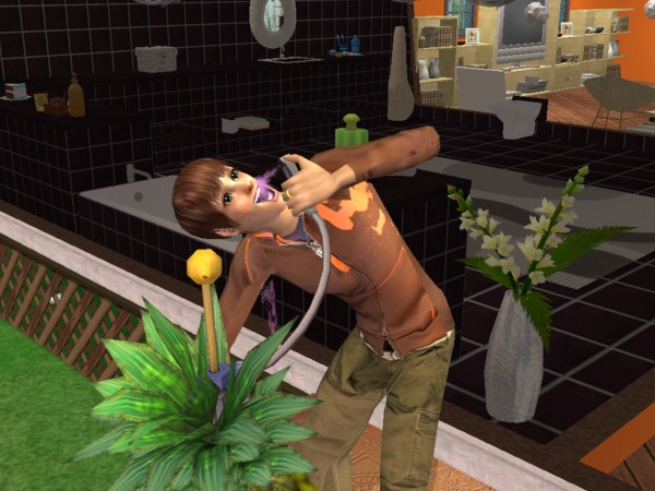 Sims