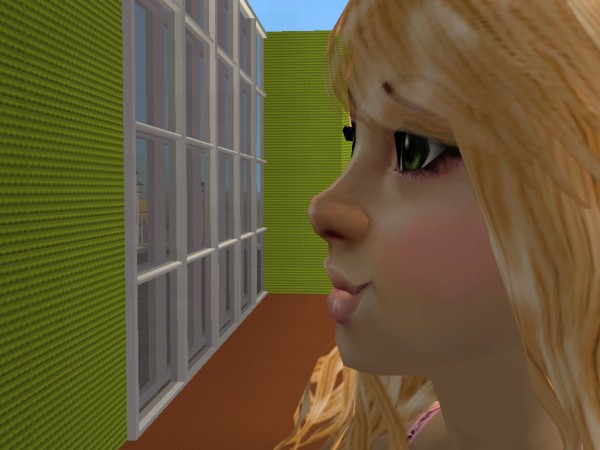 Sims