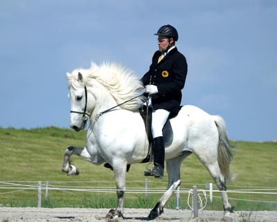 Silfurtoppur
