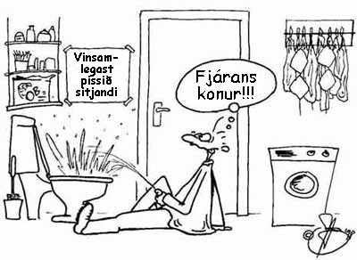 Fjárans konur