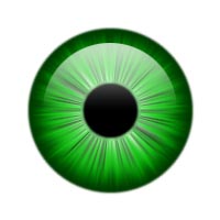 Kennsla: Auga