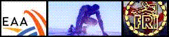 Banner - Toggeh2
