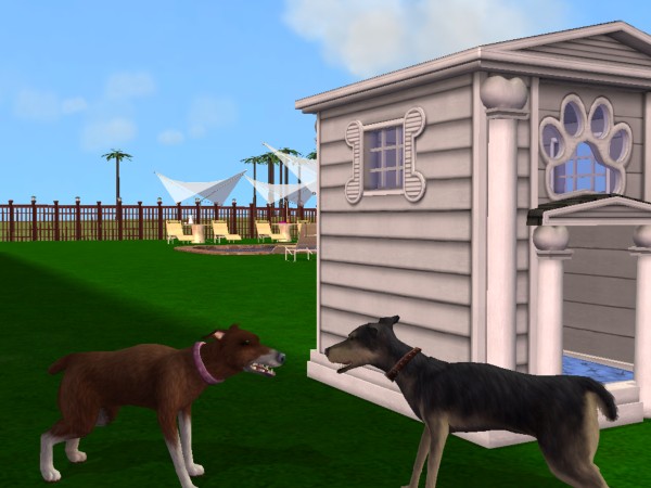Sims