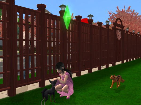 Sims