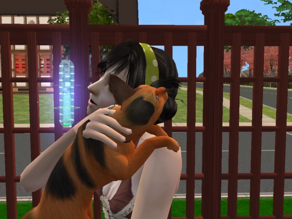 Sims
