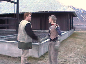 Geðheilsa
