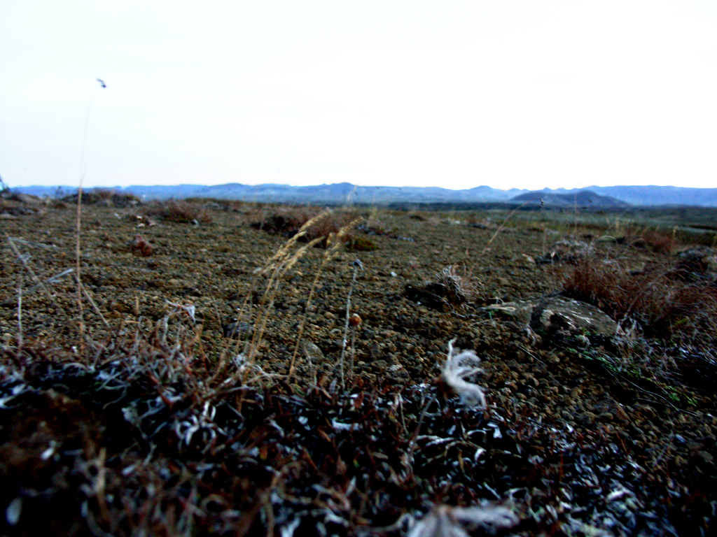 "Hausteyði - Haust"