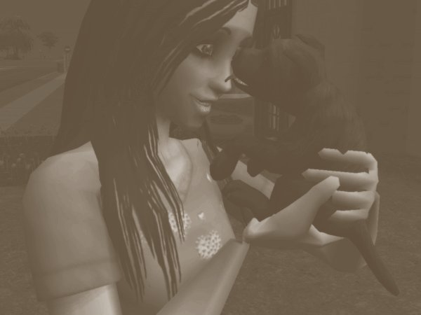 sims