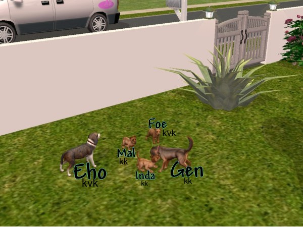 Eho & Gen