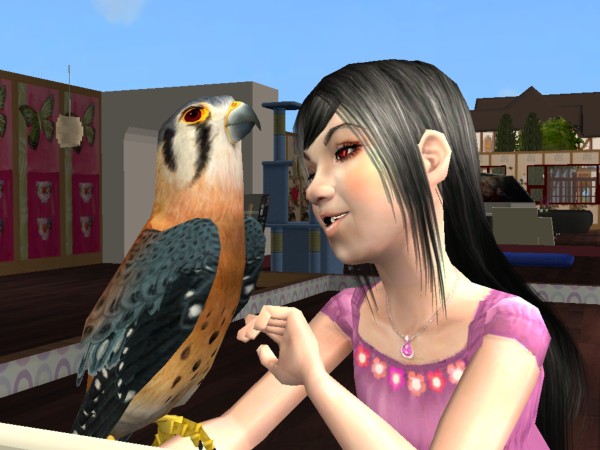 Sims