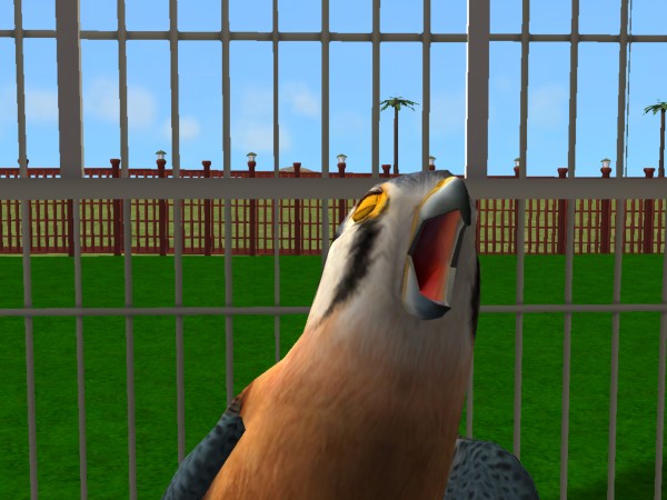 Sims