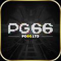 pg66ltd