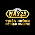 hay29vin