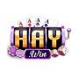 haywin88us1