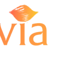 alluviacity