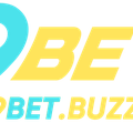 9betbuzz