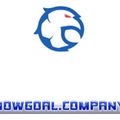 nowgoalcompany