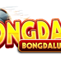 bongdalucodes