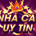 nhacaiuytinet