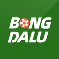 bongdaluis