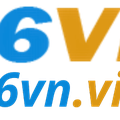 66vnvin