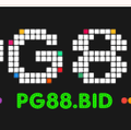 pg88bid2