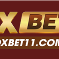 oxbet11com2