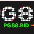 pg88bid1