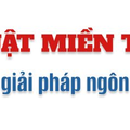 dichthuatviet