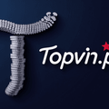 conggametopvin