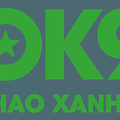 ok9marketing12