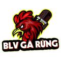 blvgarungcom