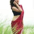 pihudasmodel