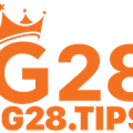 g28tips1
