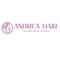 andreahairvietnam